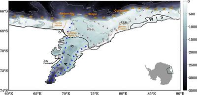 Energetics of Eddy-Mean Flow Interactions in the Amery Ice Shelf Cavity